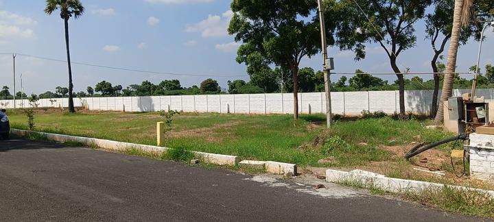 star luxor Main Image 1