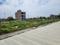 Naubasta Plot View 2