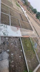 Image of 1360 Sq.ft Residential Plot / Land for sale in Dev Saundaryam, Babatpur, Varanasi for Rs. 2720000