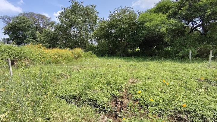 Chandsi Main Image 1