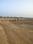 Narendra Town Square Main Image 1