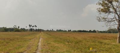 Image of 2400 Sq.ft Residential Plot / Land for sale in Arakkonam, Ranipet for Rs. 961000