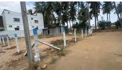 Government Arts college palladam Plot View 1