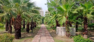 Image of 450 Sq.ft Residential Plot / Land for sale in Sector 108, Noida for Rs. 140000000