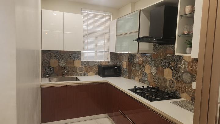 The Rising Palm Floors Main Image 1