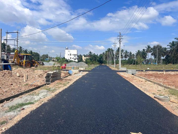 Yelwala Main Image 1