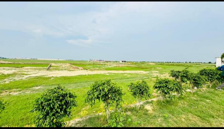 Reewa residency  Main Image 1