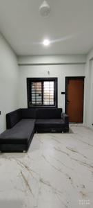 Hall Image of 500 Sq.ft 1 BHK Builder Floor for rent in Vijay Nagar Indore for Rs. 25000