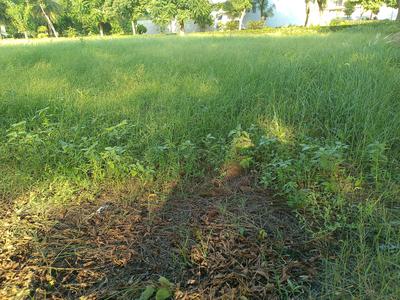 Residential Plot