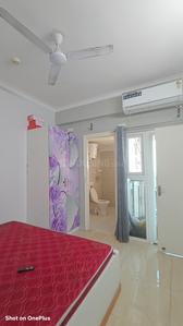Bedroom Image of 530 Sq.ft 1 BHK Apartment / Flat for rent in Gaurs 14th Avenue, Noida Extension Greater Noida for Rs. 22000