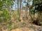 Assonora Main Image 1