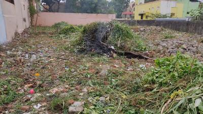 Ranipet Town Plot View 1