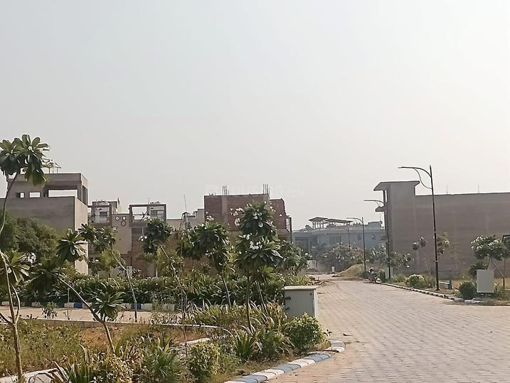 Beelwa Main Image 1