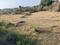 Raipur Village Plot View 2