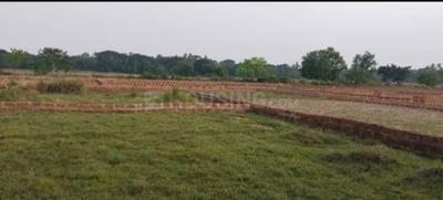 Patrapada Plot View 1