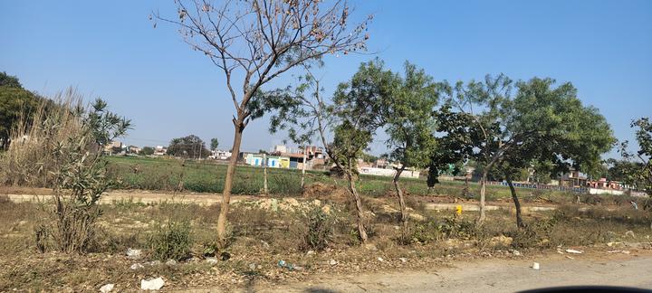 YEIDA Individual Residential Plots Main Image 1