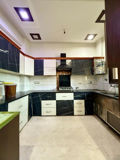 Sector 20 Main Image 1