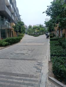 Image of 1600 Sq.ft 3 BHK Builder Floor for sale in Smartworld Orchard, Sector 61, Gurgaon for Rs. 28000000