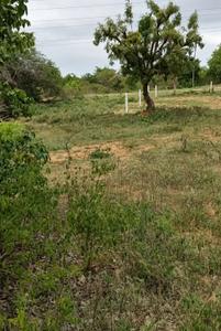 Image of 4500 Sq.ft Residential Plot / Land for sale in Narne East City, Bibinagar, Yadadri Bhuvanagiri for Rs. 4200000