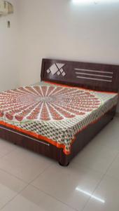 Bedroom Image of 600 Sq.ft 1 BHK Apartment / Flat for rent in Sankalp Alexa Homes, Jagatpura Jaipur for Rs. 20000