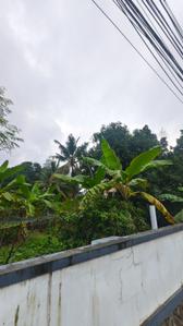 Image of 6525 Sq.ft Residential Plot / Land for sale in Kakkanad, Kochi for Rs. 1600000