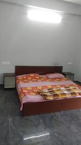 Bedroom Image of Have More PG in Ram Bazar, Solan