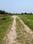 Natures Paradise Internal Roads 1