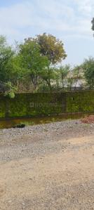 Birkona Plot View 1