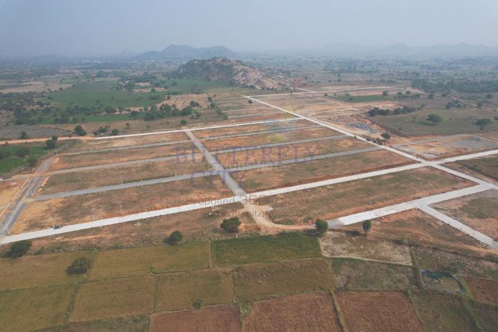 Fortune Smart 5 Main Image 1