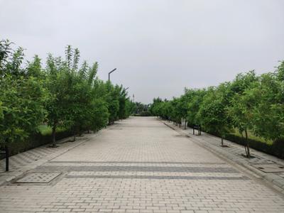 Image of 150 Sq.ft Residential Plot / Land for sale in Mansha Oaks, Sector 98, Faridabad for Rs. 16200000