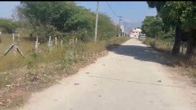 Saibaba Colony Plot View 2