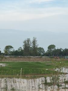 Image of 147 Sq.ft Residential Plot / Land for sale in Sector 98, Faridabad for Rs. 32200000