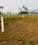 Orchard green Main Image 1