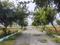 Srushti Silver Woods Internal Roads 2