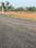 Sree Laxmi Narasimha nagar Plot View 2