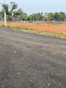 Sree Laxmi Narasimha nagar Plot View 2