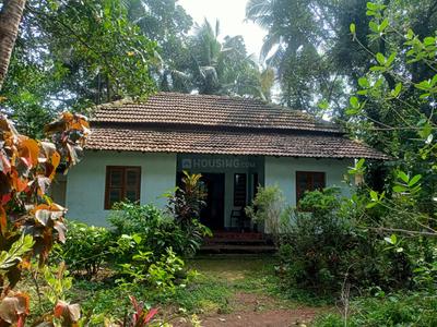10 cent plot with independent house Plot View 2