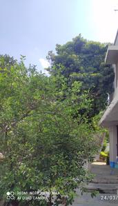Image of 600 Sq.ft 1 RK Independent House for rent in Mahanagar, Lucknow for Rs. 18000