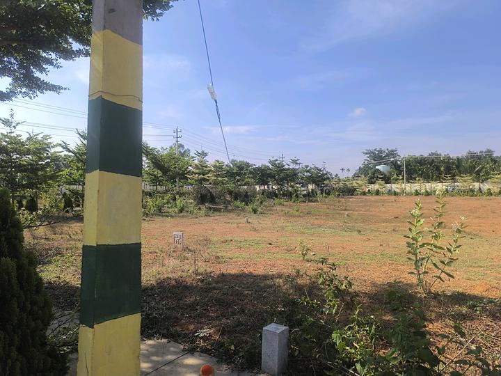 Om Sri pristine Main Image 1