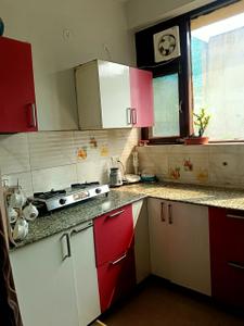 Kitchen Image of 780 Sq.ft 1 BHK Apartment / Flat for rent in SBP Homes, Sector 126 Mohali for Rs. 17000