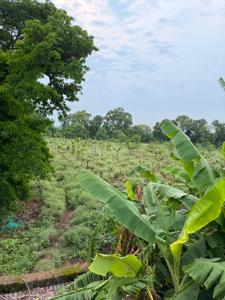 Image of 6000 Sq.ft Residential Plot / Land for sale in Jarway Alias Hirapur, Raipur for Rs. 3450000