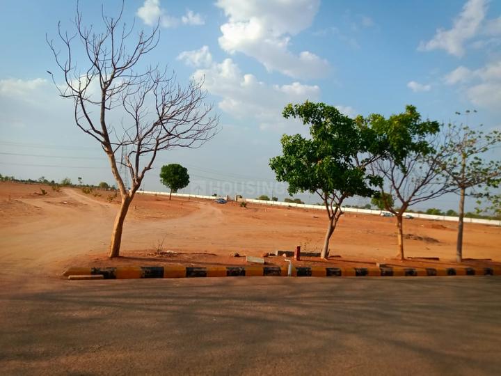 True gold7 Main Image 1