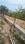 Rajpur Road Plot View 2