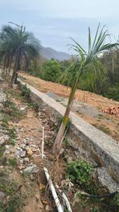 Rajpur Road Plot View 2