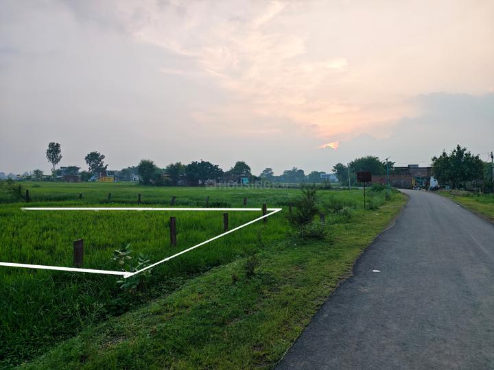 Madiya Pangarha Main Image 1