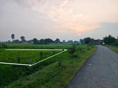 Residential Plot