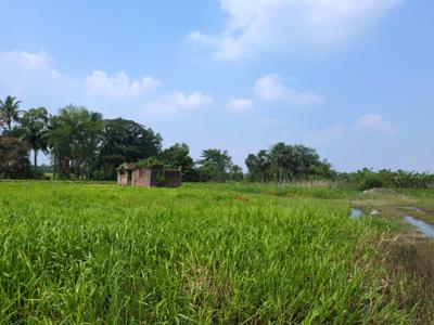 Image of 2880 Sq.ft Residential Plot / Land for sale in Natures Paradise, Joka, Kolkata for Rs. 799999