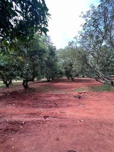 Image of 12905 Sq.ft Residential Plot / Land for sale in Melur, Madurai for Rs. 2475000