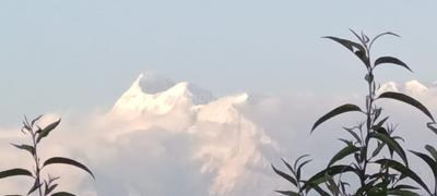 Image of 1350 Sq.ft Residential Plot / Land for sale in Kausani, Almora for Rs. 1200000