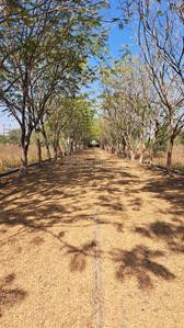 Image of 1250 Sq.ft Residential Plot / Land for sale in Ask City, Sonpairi 2, Raipur for Rs. 1624999